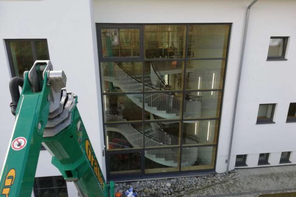 Vogelschutz mit Arbeitsbühne