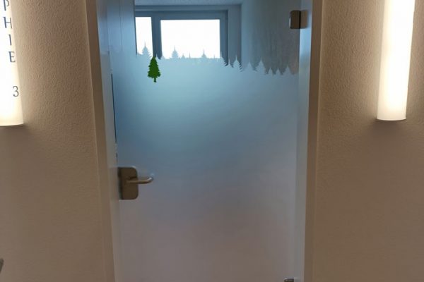 Glastüre mit Sichtschutz & individuellem Muster