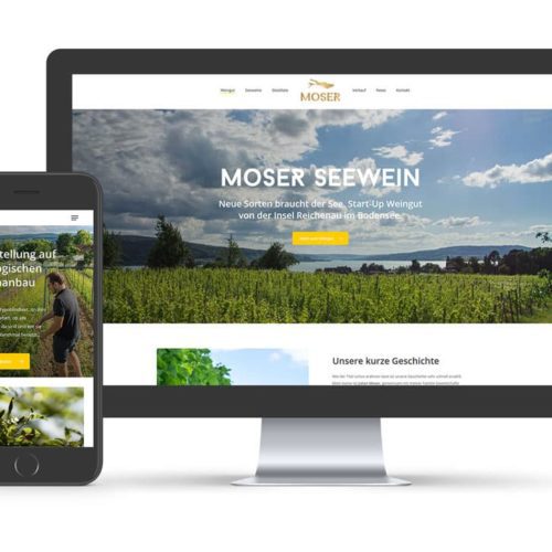 Webauftritt für Moser Seewein