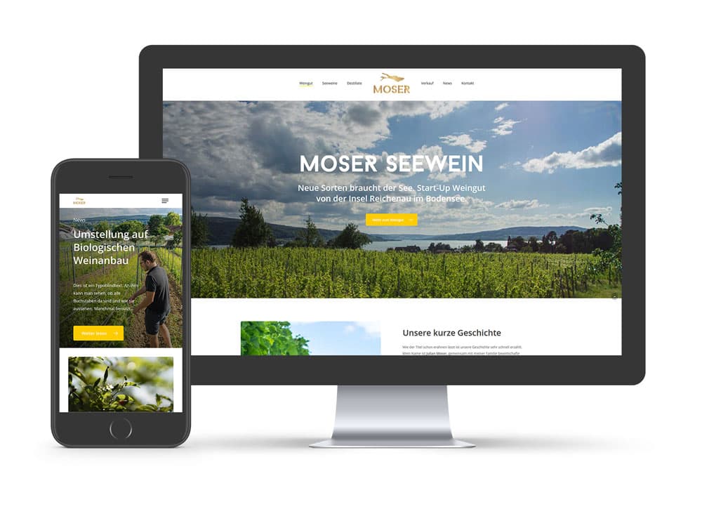 Website Moser Seewein